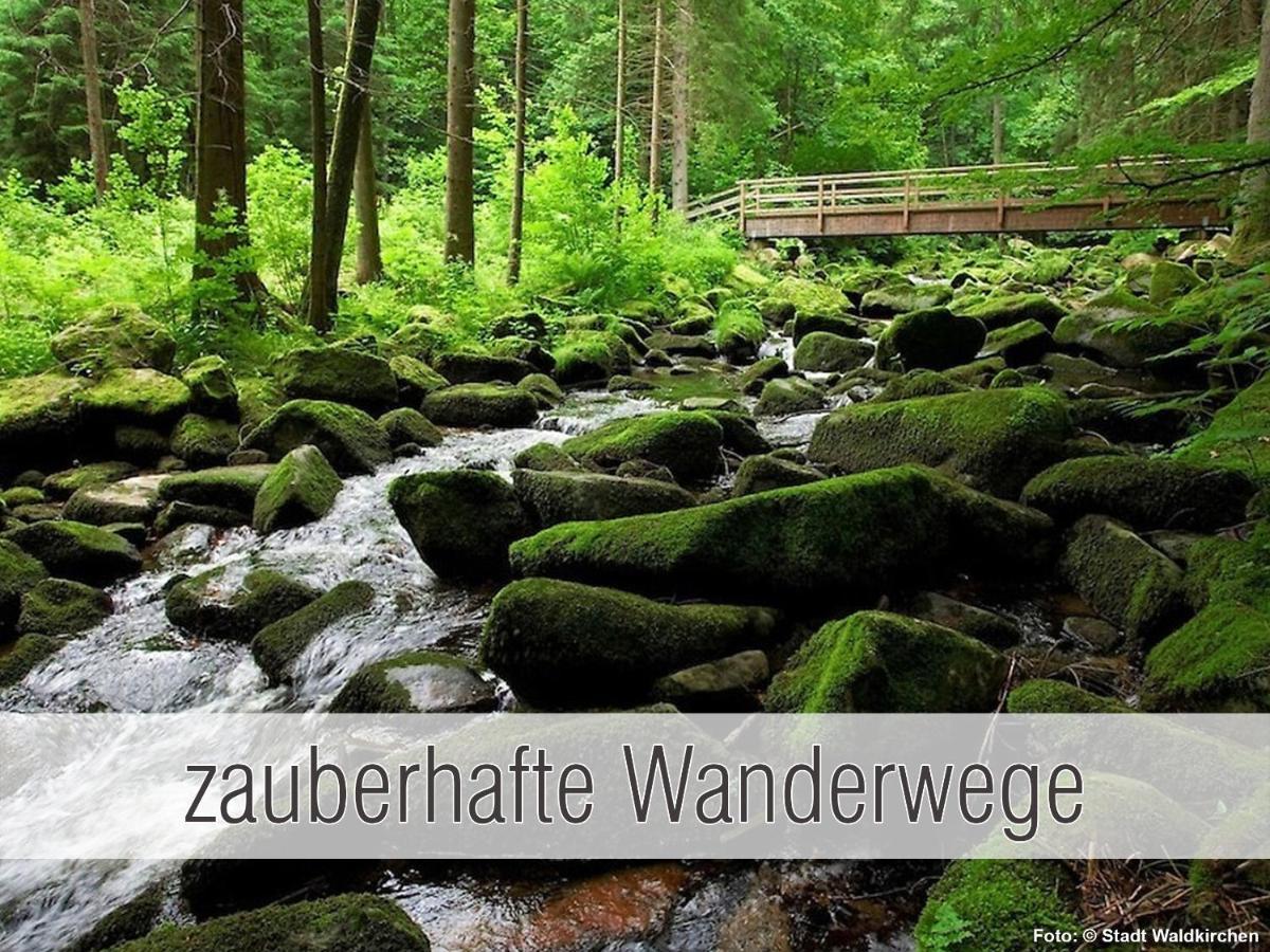 Huette41: Ganze Huette Nah Am See Mit Privatem Whirlpool, Sauna. Umzaeunt. Waldkirchen Εξωτερικό φωτογραφία