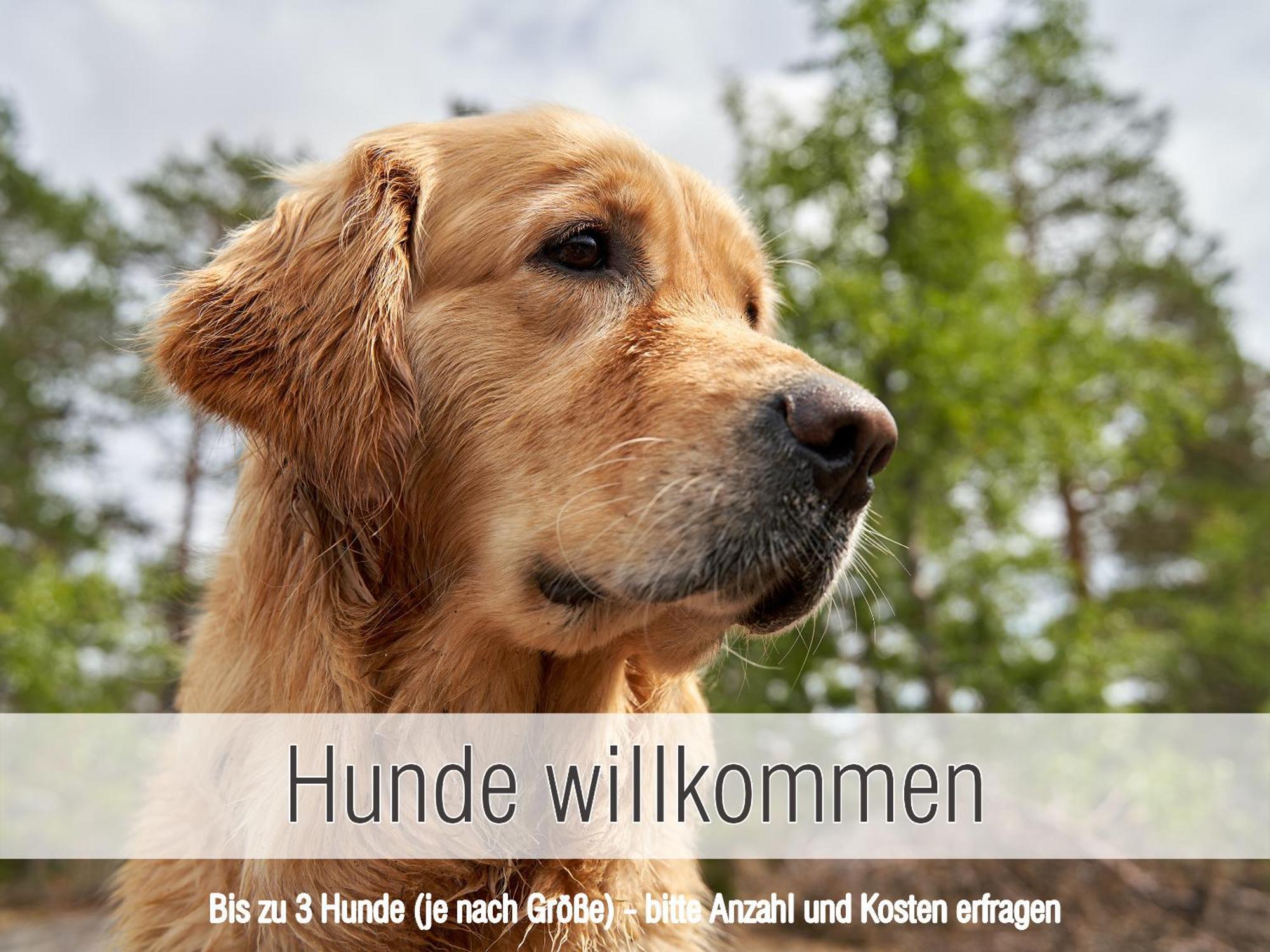 Huette41: Ganze Huette Nah Am See Mit Privatem Whirlpool, Sauna. Umzaeunt. Waldkirchen Εξωτερικό φωτογραφία